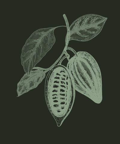 Cocoa