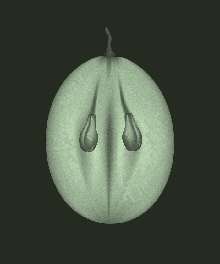Grape Seed