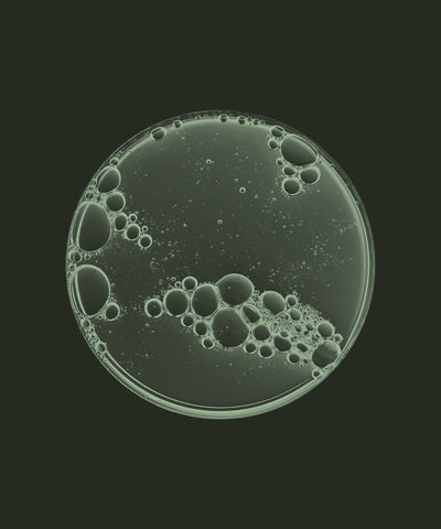 Hyaluronic Acid
