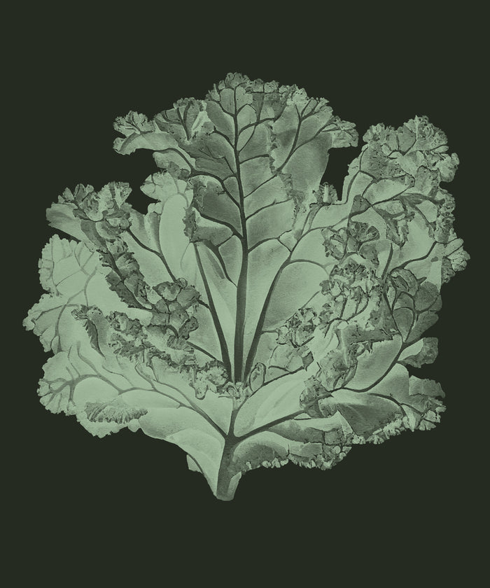 Kale