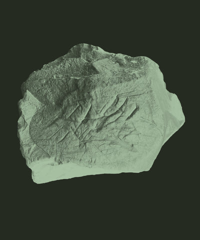 Kaolin Clay