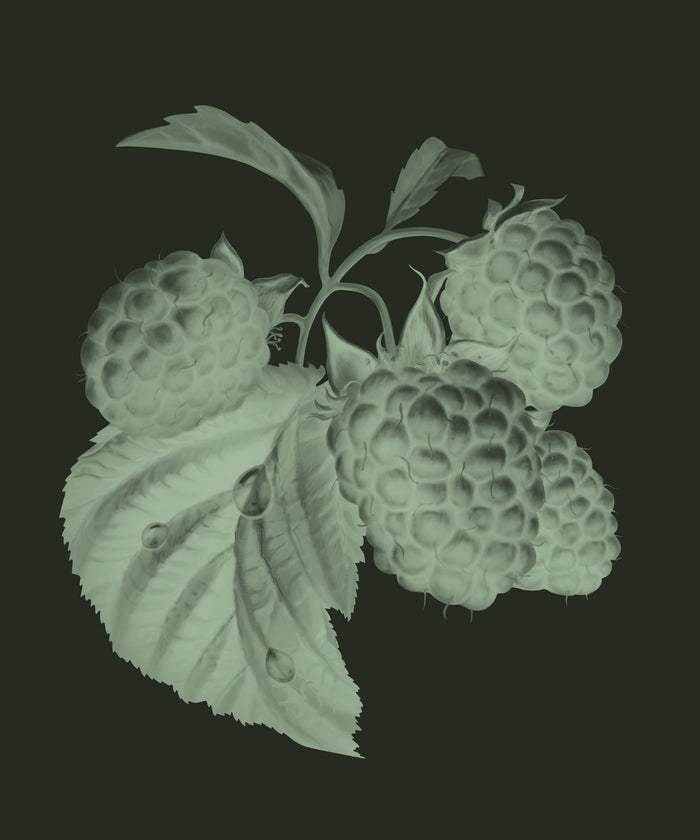 Red Raspberry