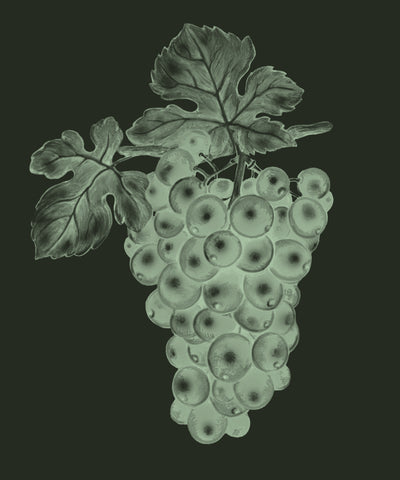 Resveratrol