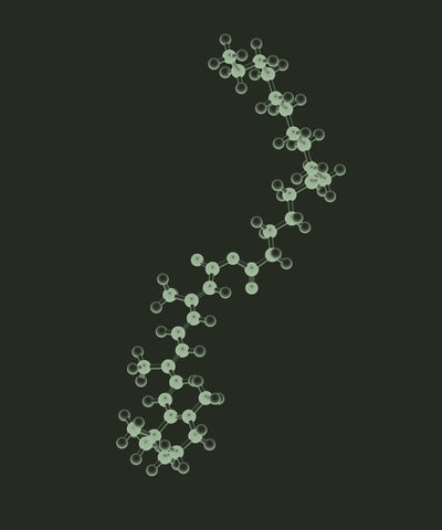 Retinyl Palmitate