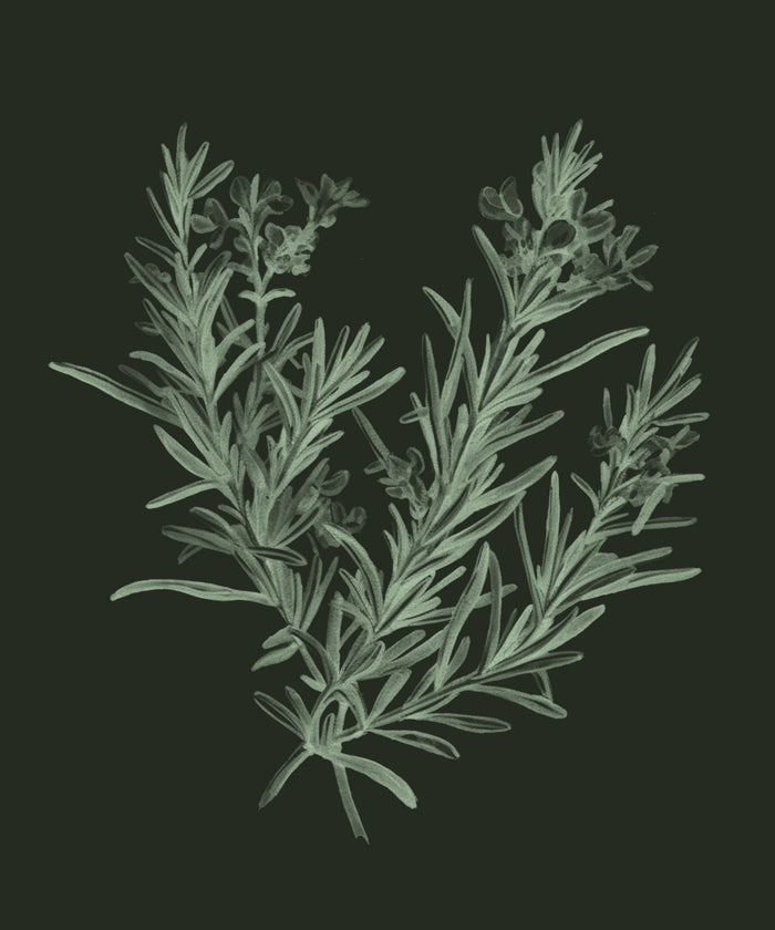 Rosemary