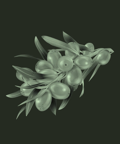 Sea Buckthorn