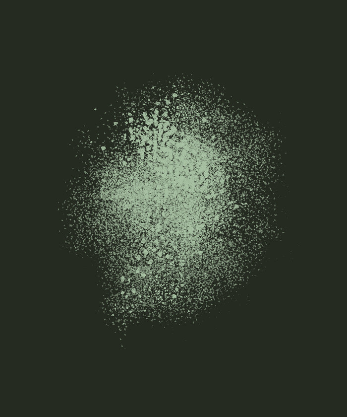 Sodium PCA