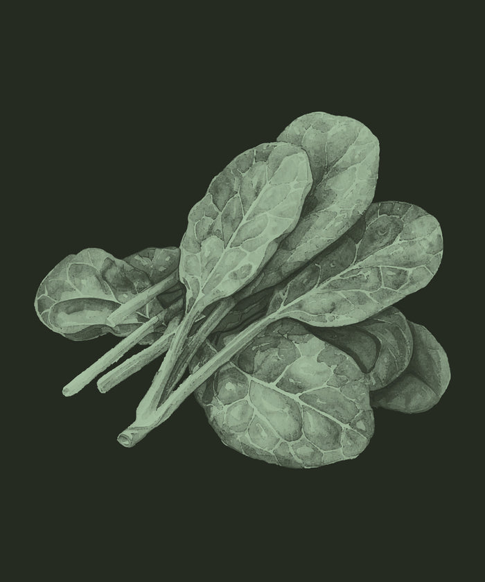 Spinach