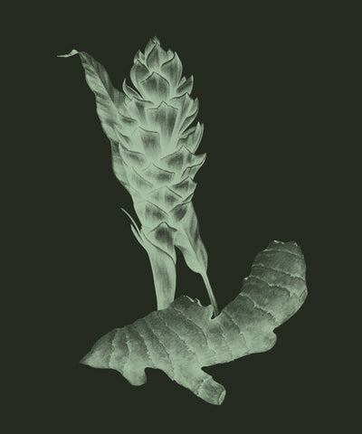 Turmeric