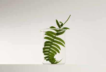 Loulu Navigation Thumbnail Marius 03