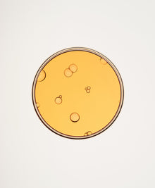 Loulu Productimage Marius 05