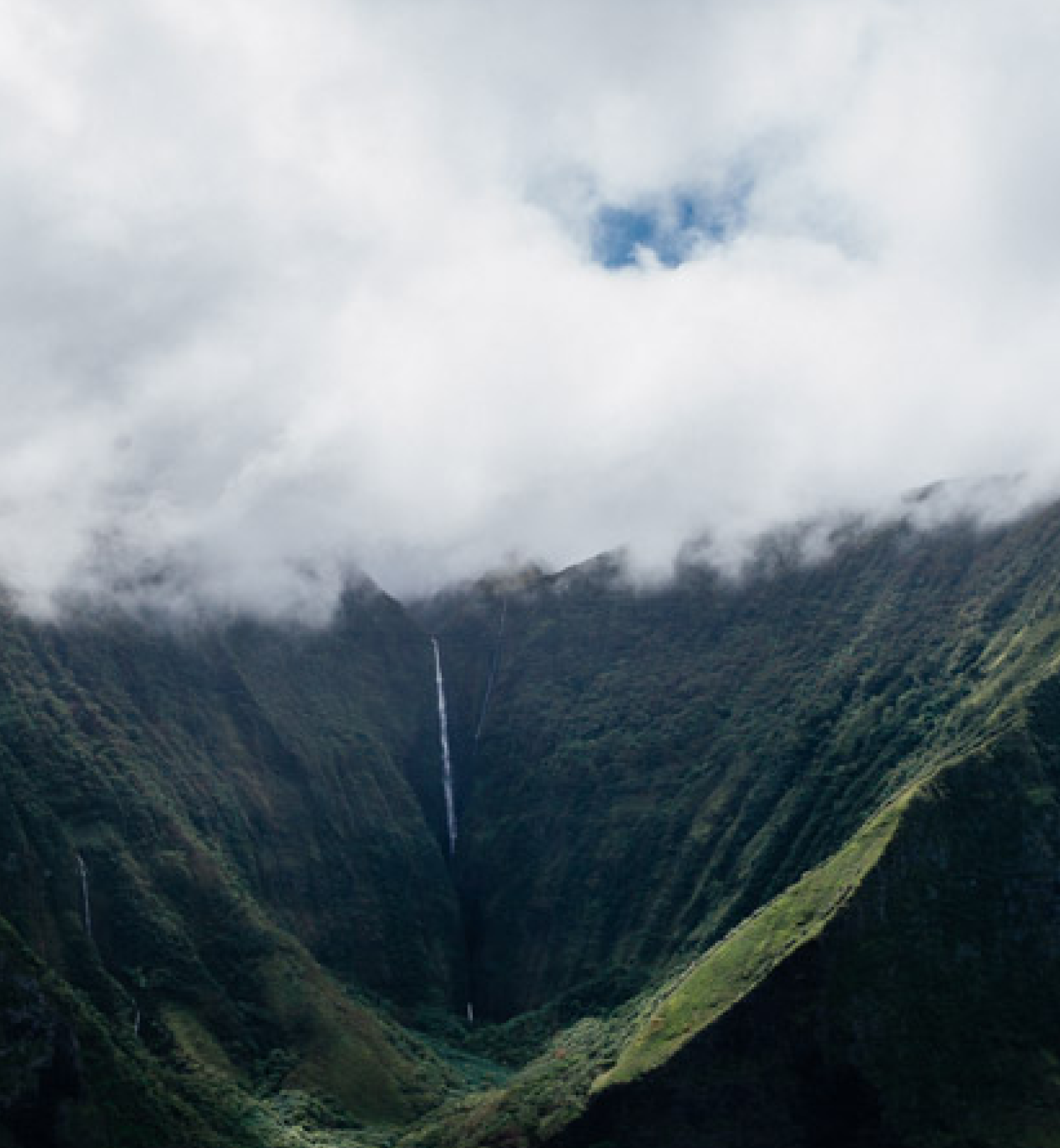 aloha cliffline 7c7714ce-5e4f-4e9f-86f2-f2fd89e1cf60