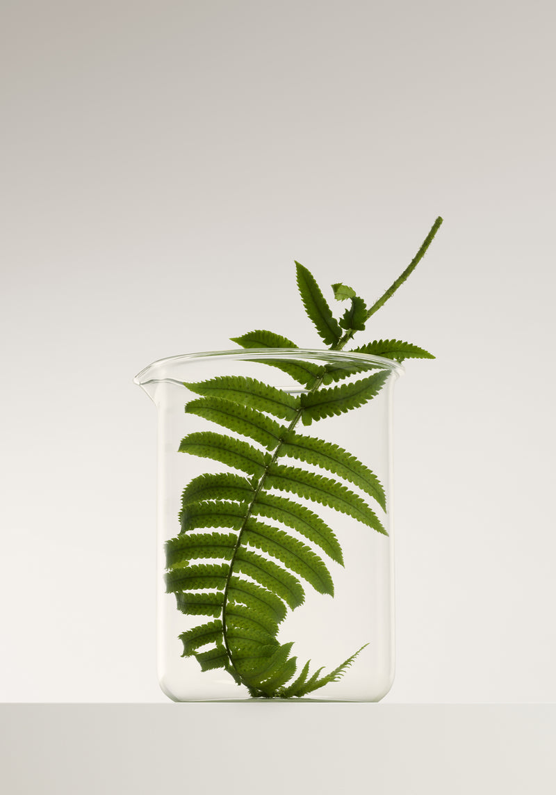 Loulu HomePageModul 2