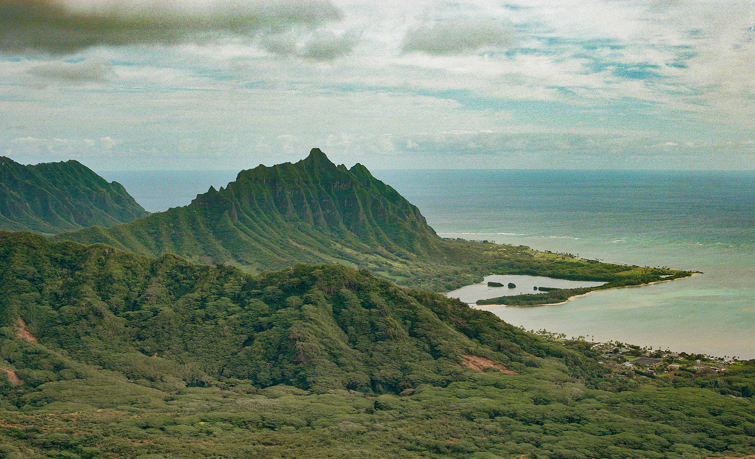 Our Origins – Loulu Hawai'i