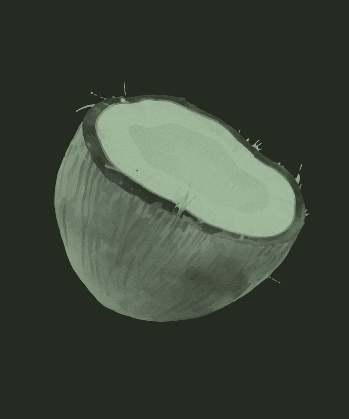 Coconut Liquid Endosperm