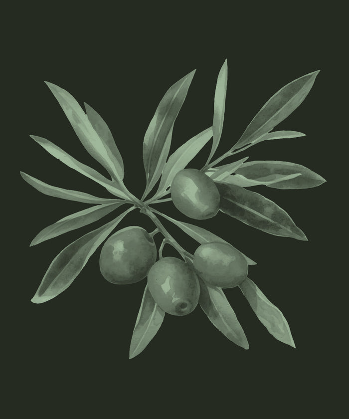 Olive Oil