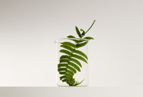 Loulu Navigation Thumbnail Marius 03